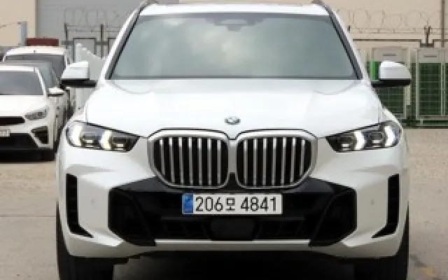 수원믿을수있는중고자동차 X5 (G05) xDrive 30d M 스포츠 매물 사진 10 - 2024/04 56,166km